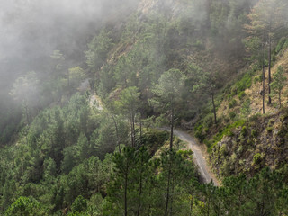 Die Insel Madeira im Atlantik