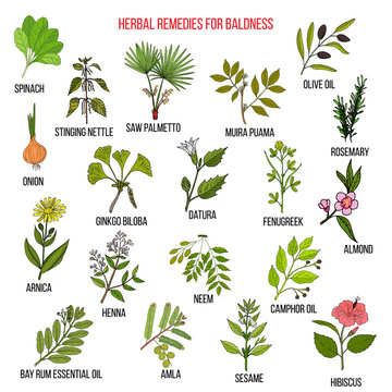 Herbal remedies for baldness