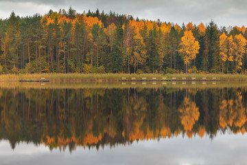Autumn colors on the lake, Poland