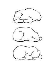 Vector card with hand drawn polar bear