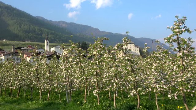 Caldes, Trentino, Italien
