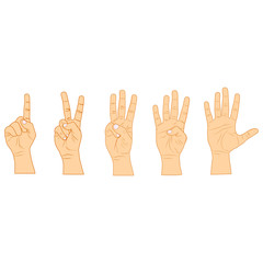 Cartoon Human Hand Showing Numbers Set Row Flat Design Style Gesture for Education or Expression. Vector illustration