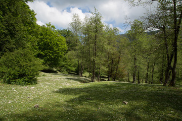 Panorama, Sentiero verso Monte Cervati, da Sanza, Parco Nazionale del Cilento e Vallo di Diano,...