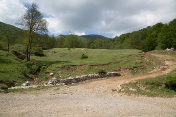 Sentiero al Monte Faiatella, Parco Nazionale del Cilento e Vallo di Diano, primavera 