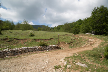 Sentiero al Monte Faiatella, Parco Nazionale del Cilento e Vallo di Diano, primavera 