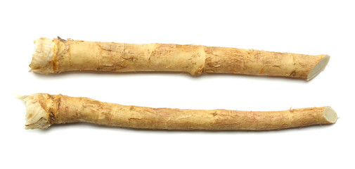 two horseradish root isolated on white background