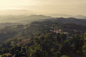 Tea Plantation at Doi Mae Salong in Chiang Rai, Thailand