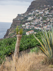 Madeira und Funchal
