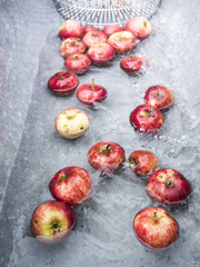 Freshly harvested apples in the water of the tin tub