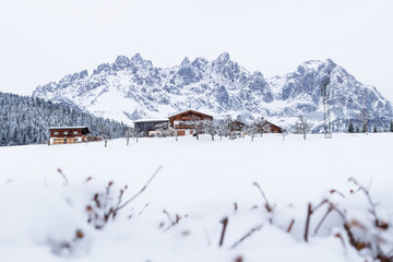 Wilder Kaiser mountainrange with snow and branches, Going am Wilden Kaiser, Tyrol, Austria