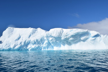 antartica
