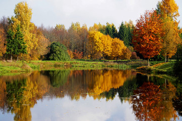 Fototapeta premium Autumn at the pond