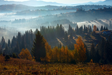 First rays of sun in Carpathians.