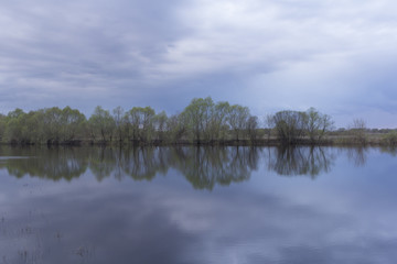 Reflection of birches tree in a lake.