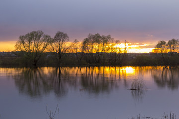 Landscape sunset on the lake with trees