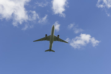 Airplane flies against a background of white cloud