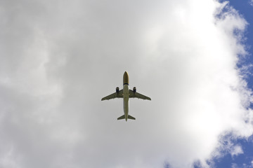 Airplane flies against a background of white cloud
