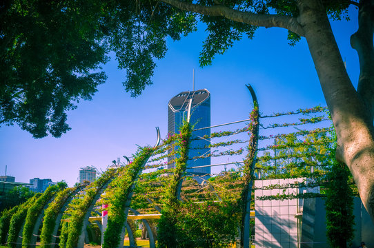 South Bank Arbour and greenery in Brisbane