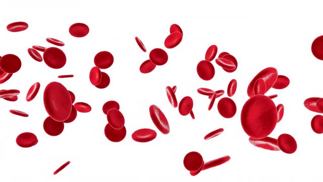 Flowing Erythrocyte aka Hemoglobin cells on a white background. 		
