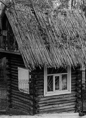 the old wooden house covered with branches