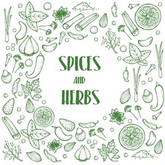 Hand drawn herbs and spices vector healthy natural plants on white background. Illustration for your web design.