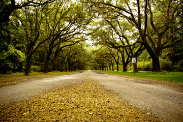 Wormsloe Historic Site