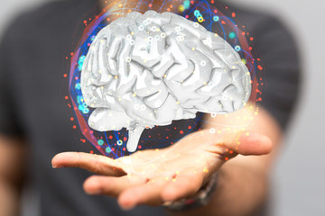 brain