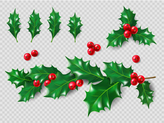Holly Set. Realistic leaves, branch, red berries. Christmas and New Year decorations. 3d illustration for your layout design.