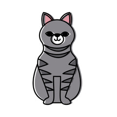 Cute cat cartoon