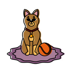 Cute cat with tennis ball