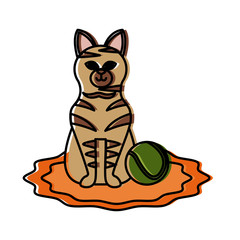Fototapeta na wymiar Cute cat with tennis ball