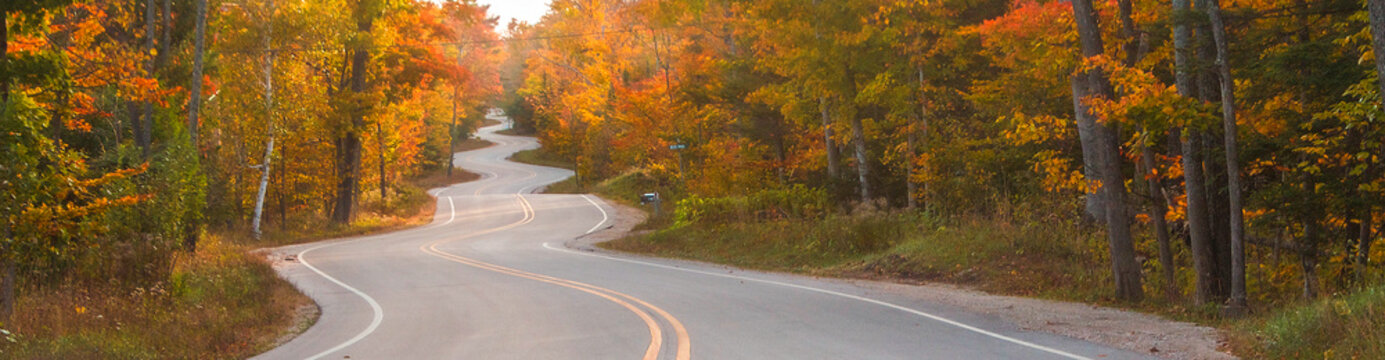 Curvy Road