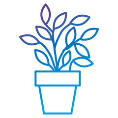 plant in pot icon vector illustration design