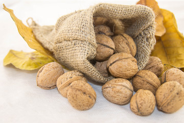 Nuts and dry leaves in a rustic bag on a white background