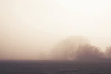 Foto auf Acrylglas Morgen mit Nebel Misty morning woodland with soft focus trees in the distance.  © Stephen
