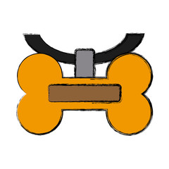 Collar dog isolated icon vector illustration graphic design