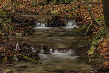 Bansky creek in autumn morning near Spania Dolina - obrazy, fototapety, plakaty