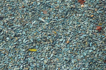 水中で青みがかった小石(宮城県)