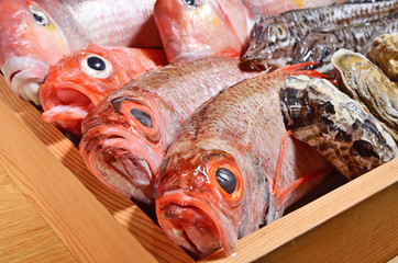 Fresh seafood in wooden box at the Japanese restaurant