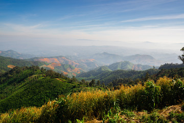 Naklejka premium Landscape of forest in sierra that some part was deforestation by human, Nan, Northern of Thailand