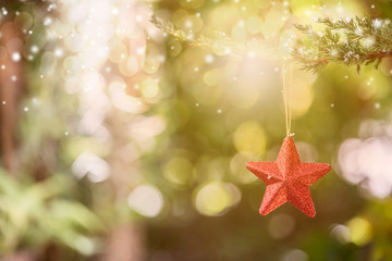 Christmas decoration on the tree with snow in winter © graphixchon