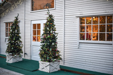 Fototapeta na wymiar Display of a Christmas tree in a shop entrance