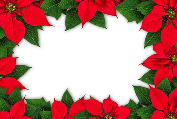 Poinsettia flower frame