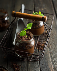 Vegan chocolate banana avocado mousse in a jar. A green sprout of mint grows from mousse. An unusual original serving of a tasty useful dessert. 