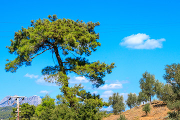 Fototapeta premium Mountains landscape on a sunny day