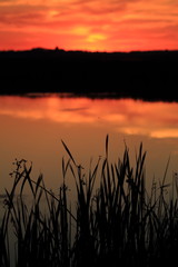 Sunset with grass and river or lake