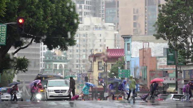 Rain in the City. Young school children with umbrellas are crossing a busy city street on a rainy day. in North Beach San Francisco. Focus Shift. Rain on Glass Window.