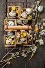 Spring Easter basket with eggs of different sizes, spring flowers, cereals, willow branches.  on a wooden dark background decorated with wheat and flowers.  Place for text. Flat lay, top view