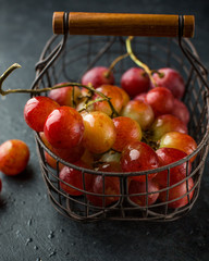 Red large grapes on a branch in a vintage iron basket on a concrete black background. Fresh fruits, beautiful card or background