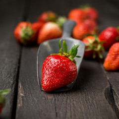 Fresh strawberries on a wooden vintage background with a vintage iron scoop. Place for text